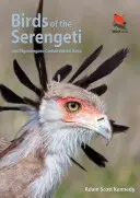 Păsările din Serengeti: Și zona de conservare Ngorongoro - Birds of the Serengeti: And Ngorongoro Conservation Area