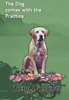 Dog Comes With The Practice - Poveștile unui medic începător în Irlanda și Canada - Dog Comes With The Practice - Tales of a Junior Doctor in Ireland and Canada