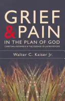 Suferința și durerea în planul lui Dumnezeu: Asigurarea creștină și mesajul din Lamentații - Grief and Pain in the Plan of God: Christian Assurance and the Message of Lamentations