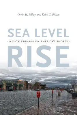 Creșterea nivelului mării: Un tsunami lent pe țărmurile Americii - Sea Level Rise: A Slow Tsunami on America's Shores