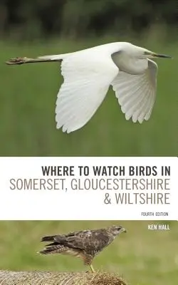 Unde se pot observa păsări în Somerset, Gloucestershire și Wiltshire - Where to Watch Birds in Somerset, Gloucestershire and Wiltshire