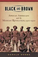 Negru și maro: Afro-americanii și revoluția mexicană, 1910-1920 - Black and Brown: African Americans and the Mexican Revolution, 1910-1920