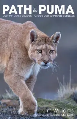 Path of the Puma: Remarcabila reziliență a leului de munte - Path of the Puma: The Remarkable Resilience of the Mountain Lion