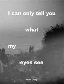 Pot să vă spun doar ceea ce văd ochii mei: Fotografii din criza refugiaților - I Can Only Tell You What My Eyes See: Photographs from the Refugee Crisis