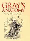 Gray's Anatomy: Ediție în cutiuță - Gray's Anatomy: Slip-Case Edition