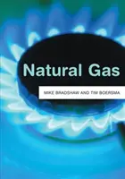Gazele naturale - Natural Gas