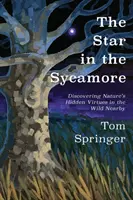 The Star in the Sycamore: Discovering Nature's Hidden Virtues in the Wild Nearby (Descoperirea virtuților ascunse ale naturii în sălbăticie) - The Star in the Sycamore: Discovering Nature's Hidden Virtues in the Wild Nearby
