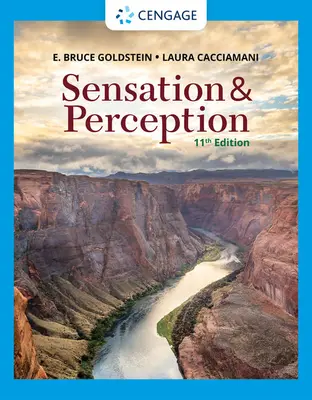 Senzație și percepție - Sensation and Perception