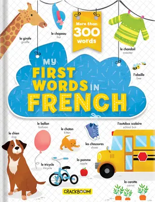 Primele mele cuvinte în franceză - Mai mult de 200 de cuvinte! - My First Words in French - More Than 200 Words!