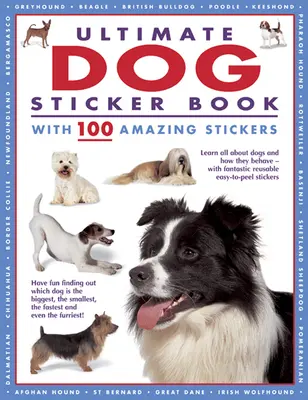Ultimate Dog Sticker Book cu 100 de abțibilduri uimitoare: Învață totul despre câini și cum se comportă - cu abțibilduri fantastice reutilizabile și ușor de lipit - Ultimate Dog Sticker Book with 100 Amazing Stickers: Learn All about Dogs and How They Behave - With Fantastic Reusable Easy-To-Peel Stickers
