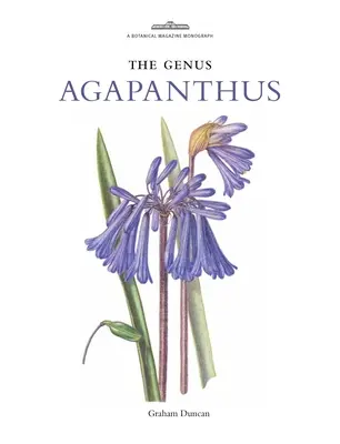 Genul Agapanthus - Genus Agapanthus