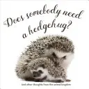 Are cineva nevoie de o îmbrățișare? - Does Somebody Need a Hedgehug?