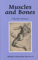Mușchi și oase: Resurse pentru educația Waldorf - Muscles and Bones: Waldorf Education Resources