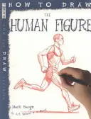 Cum să desenezi figura umană - How To Draw The Human Figure