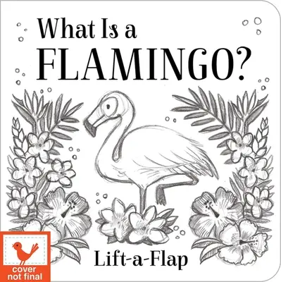 What Is a Flamingo?