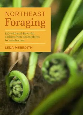 Northeast Foraging: 120 de produse comestibile sălbatice și gustoase de la prunele de plajă la murele de vin - Northeast Foraging: 120 Wild and Flavorful Edibles from Beach Plums to Wineberries