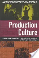 Cultura producției: Reflexivitate industrială și practică critică în film și televiziune - Production Culture: Industrial Reflexivity and Critical Practice in Film and Television
