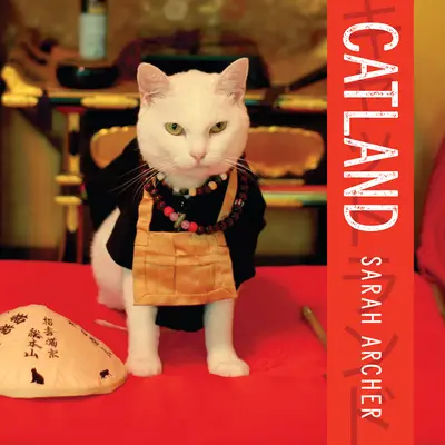 Catland: Puterea moale a culturii pisicilor în Japonia - Catland: The Soft Power of Cat Culture in Japan