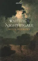 În așteptarea privighetorii (Waiting for the Nightingale) - Waiting for the Nightingale