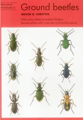 Gândacii de pământ - Ground beetles