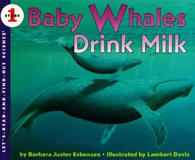 Bebelușii de balenă beau lapte - Baby Whales Drink Milk