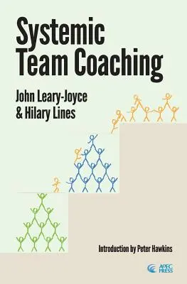 Coaching sistemic de echipă - Systemic Team Coaching