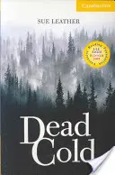 Dead Cold Nivelul 2 - Dead Cold Level 2