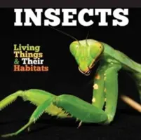Insecte - Insects