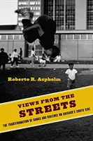 Vederi de pe străzi: Transformarea bandelor și a violenței în partea de sud a orașului Chicago: The Transformation of Gangs and Violence on Chicago's South Side - Views from the Streets: The Transformation of Gangs and Violence on Chicago's South Side