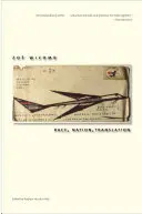 Rasă, națiune, traducere: Eseuri sud-africane, 1990-2013 - Race, Nation, Translation: South African Essays, 1990-2013