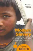 Sclavia modernă: Ghidul începătorului - Modern Slavery: A Beginner's Guide
