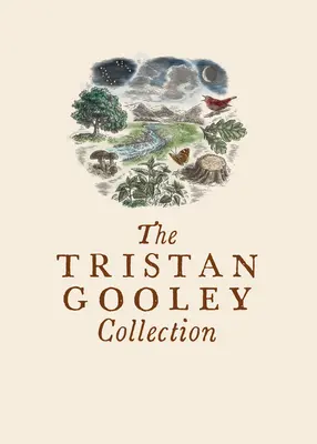 Colecția Tristan Gooley: Cum să citești natura, Cum să citești apa și Navigatorul natural - The Tristan Gooley Collection: How to Read Nature, How to Read Water, and the Natural Navigator