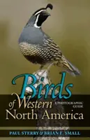 Păsările din vestul Americii de Nord: Un ghid fotografic un ghid fotografic - Birds of Western North America: A Photographic Guide a Photographic Guide