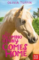 Poneiul Palomino vine acasă - Palomino Pony Comes Home