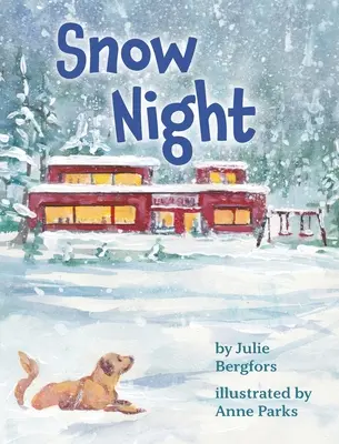 Noaptea zăpezii - Snow Night