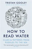 Cum să citești apa - Indicii și modele de la bălți la mare - How To Read Water - Clues & Patterns from Puddles to the Sea