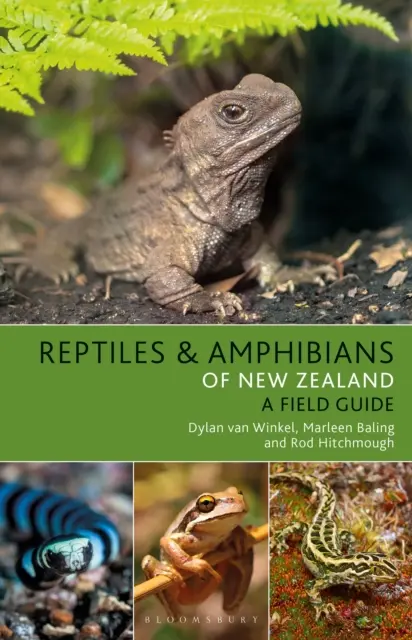 Reptile și amfibieni din Noua Zeelandă - Reptiles and Amphibians of New Zealand