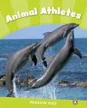 Nivelul 4: Atleții animalelor CLIL - Level 4: Animal Athletes CLIL