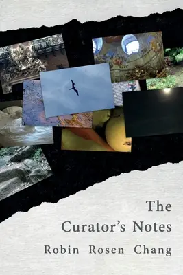 Notele curatorului - The Curator's Notes