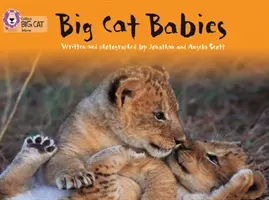 Bebelușii pisicilor mari - Big Cat Babies