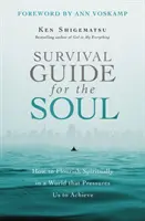 Ghid de supraviețuire pentru suflet: Cum să ne dezvoltăm spiritual într-o lume care ne presează să realizăm - Survival Guide for the Soul: How to Flourish Spiritually in a World That Pressures Us to Achieve