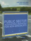 Public Sector Accounting and Budgeting for Non-Specialists (Contabilitate și bugetare în sectorul public pentru nespecialiști) - Public Sector Accounting and Budgeting for Non-Specialists