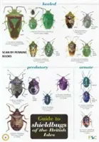 Ghidul insectelor de scut din insulele britanice (Guide to Shieldbugs of the British Isles) - Guide to Shieldbugs of the British Isles