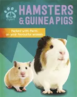 Expert în animale de companie: Hamsteri și porcușori de Guineea - Pet Expert: Hamsters and Guinea Pigs