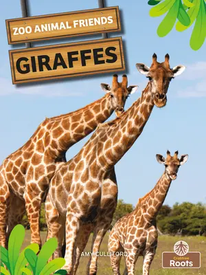 Girafe - Giraffes
