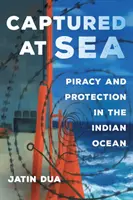 Capturați pe mare, 3: Piraterie și protecție în Oceanul Indian - Captured at Sea, 3: Piracy and Protection in the Indian Ocean