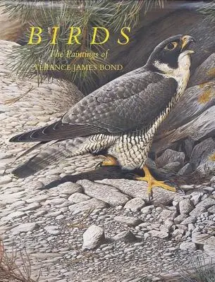 Păsările - Birds