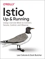 Istio: Up and Running: Utilizarea unei rețele de servicii pentru conectare, securizare, control și observare - Istio: Up and Running: Using a Service Mesh to Connect, Secure, Control, and Observe