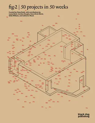 Fig-2: 50 de proiecte în 50 de săptămâni - Fig-2: 50 Projects in 50 Weeks
