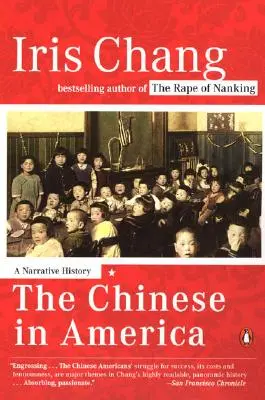 Chinezii în America: O istorie narativă - The Chinese in America: A Narrative History